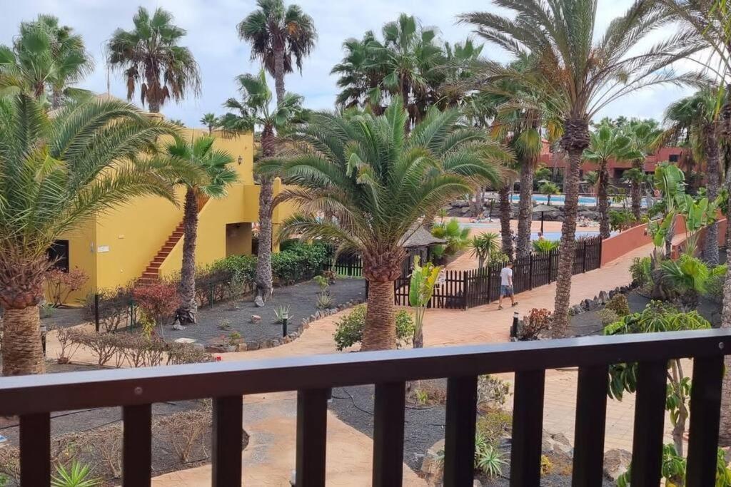 Appartamento Bouganville Con Terrazza E Piscina Corralejo Extérieur photo