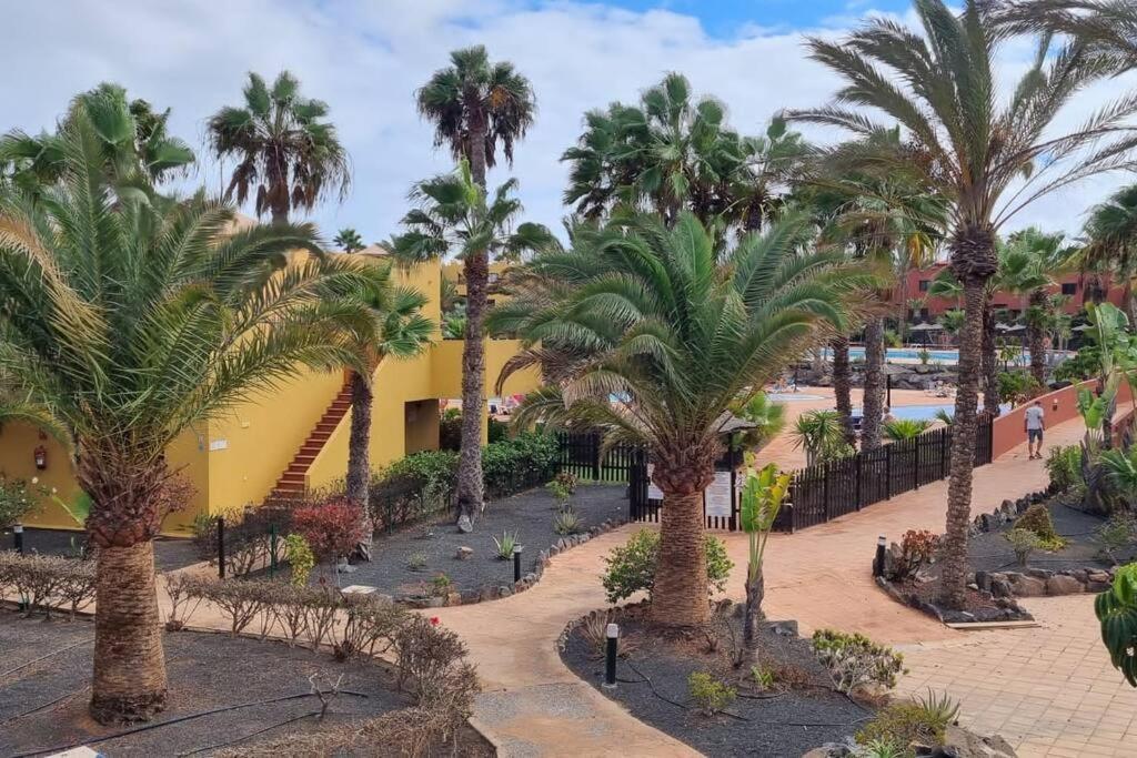 Appartamento Bouganville Con Terrazza E Piscina Corralejo Extérieur photo