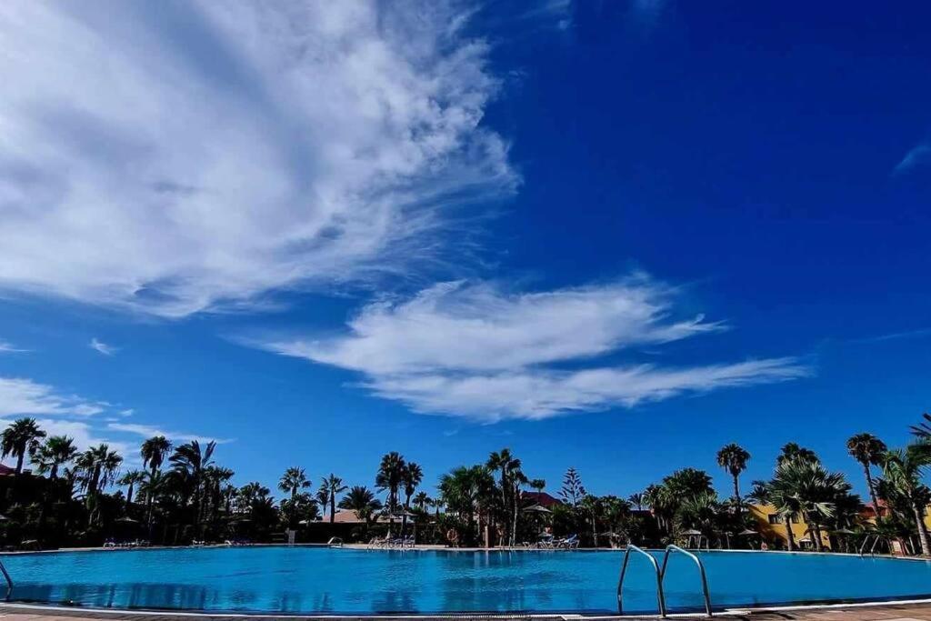 Appartamento Bouganville Con Terrazza E Piscina Corralejo Extérieur photo